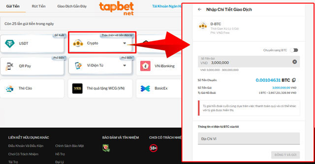 Hướng dẫn nạp tiền TAPTAP với Crypto